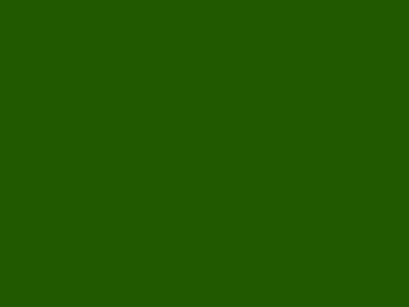 #215900 - Deep Pistachio color image