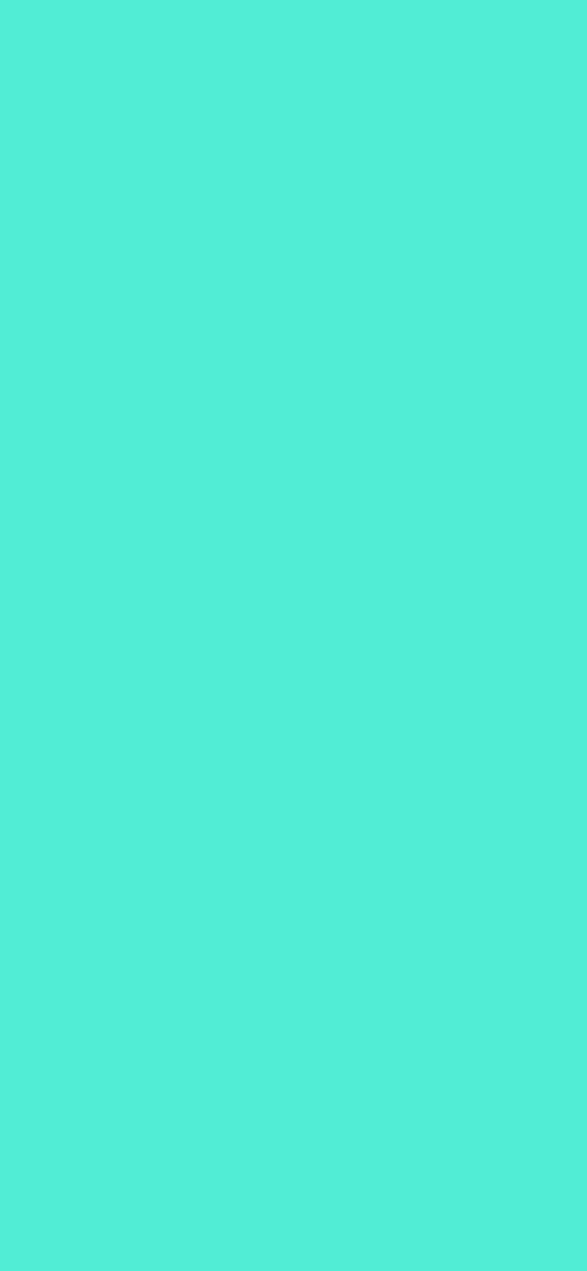 Color #50EFD3 - The Official Register of Color Names
