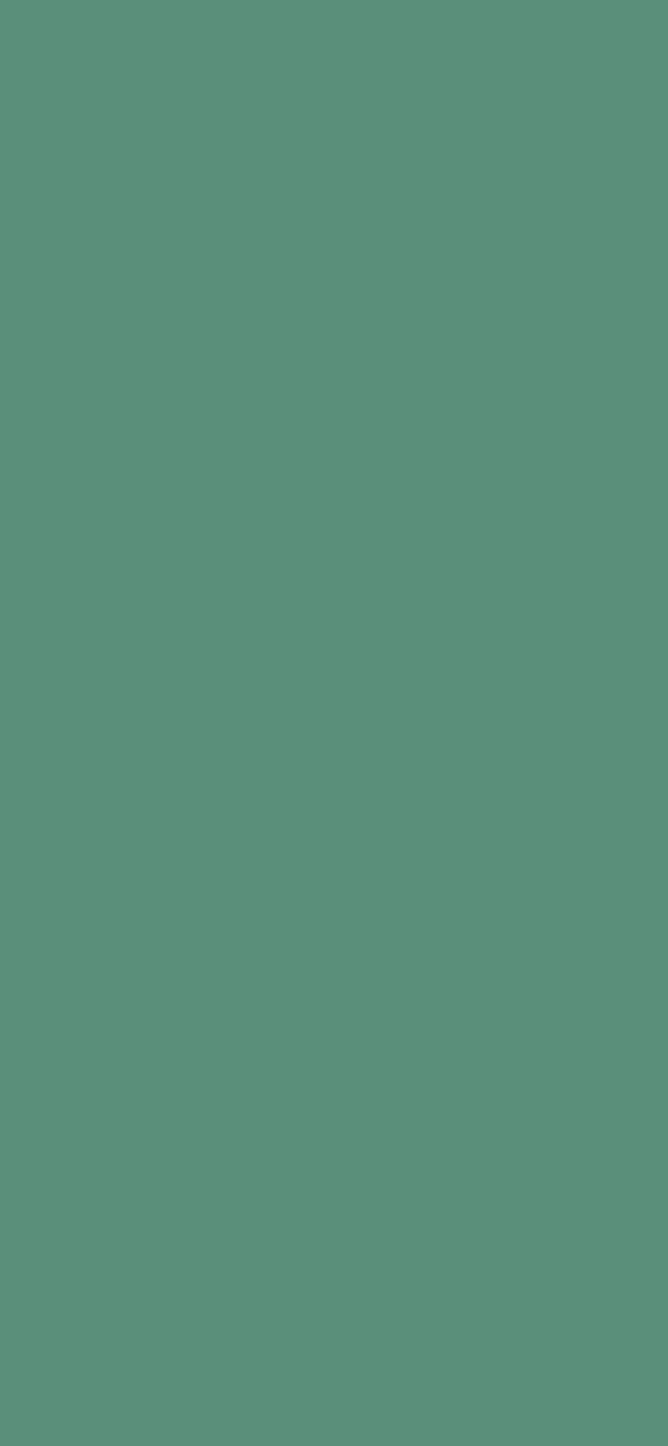 #5A8F7A color image