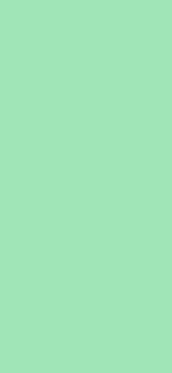 #A0E5B7 color image