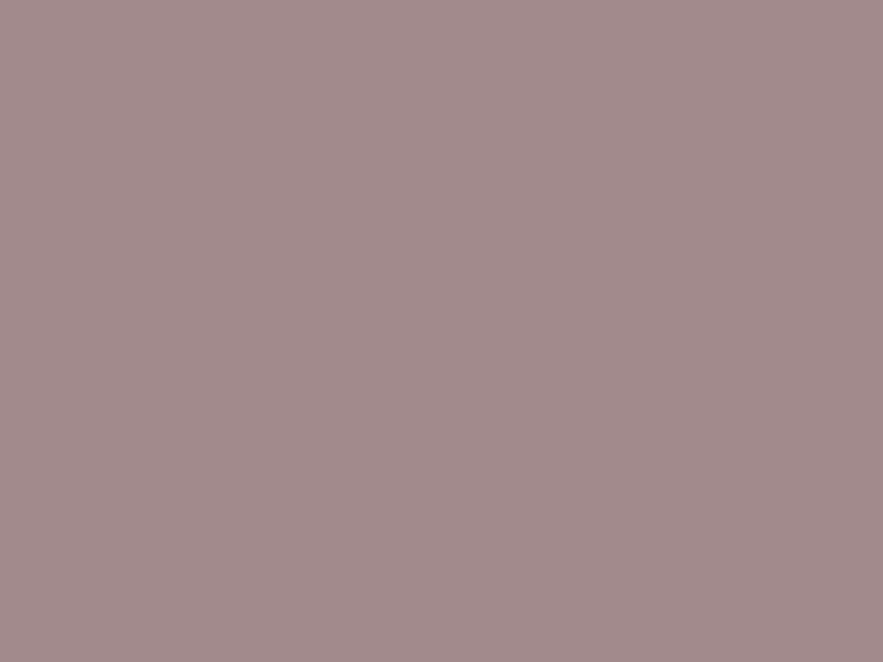 #A28A8C color image