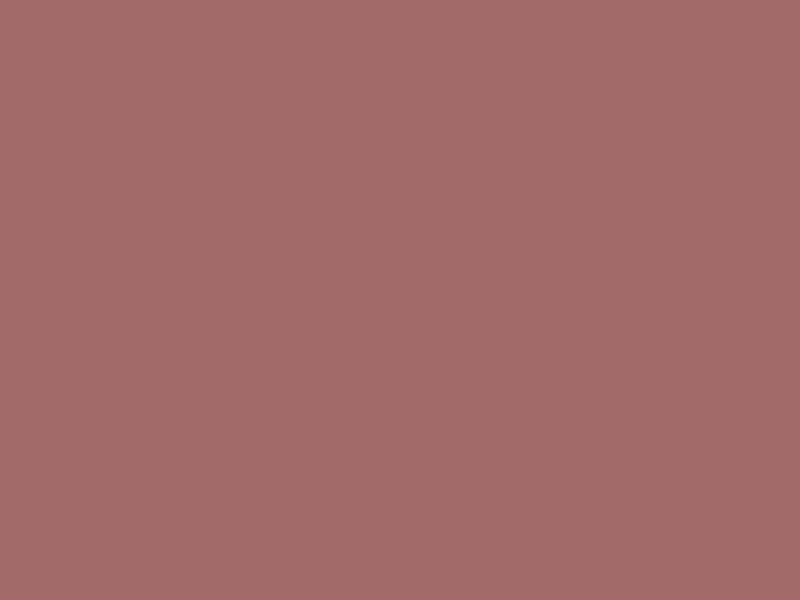 #A36A6A color image