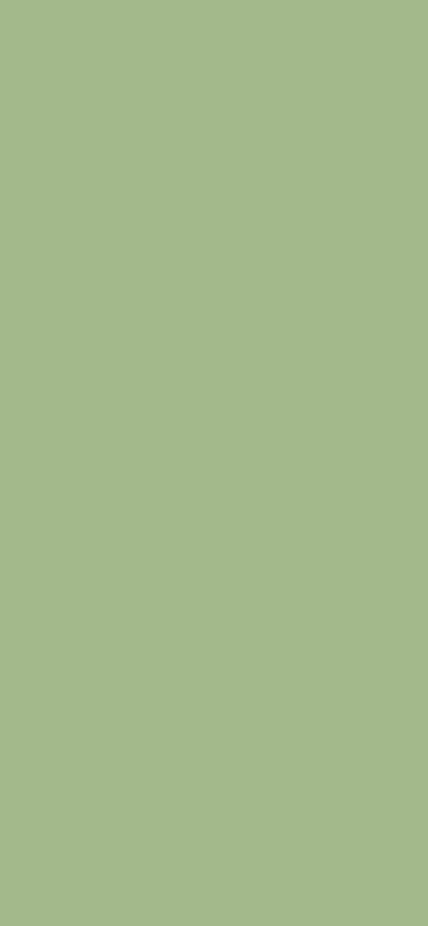 #A4BA8C color image