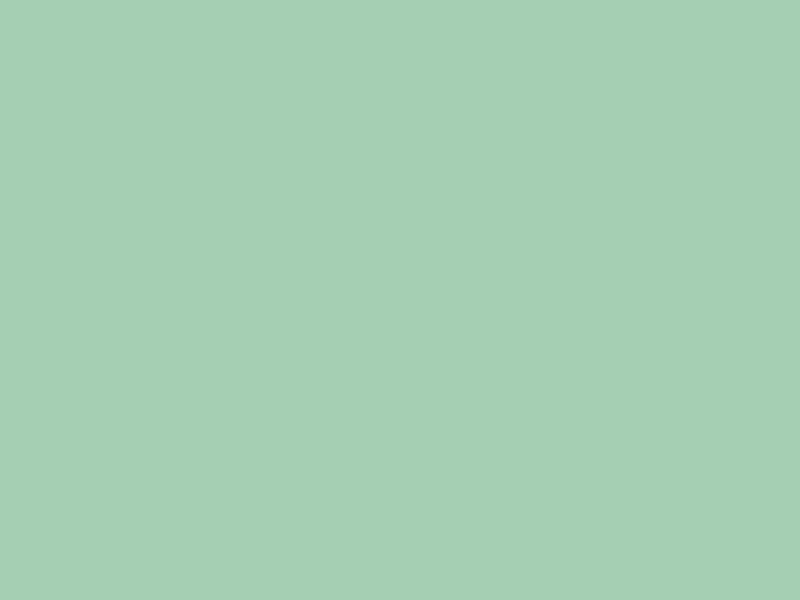 #A5CFB3 color image