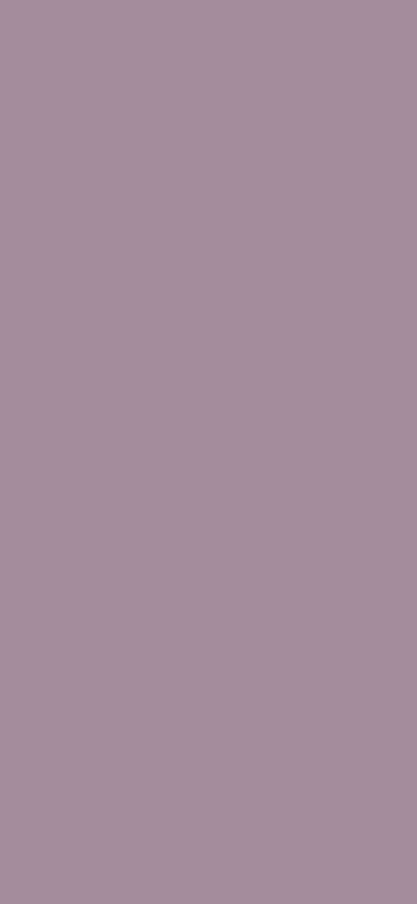 #A68B9A color image