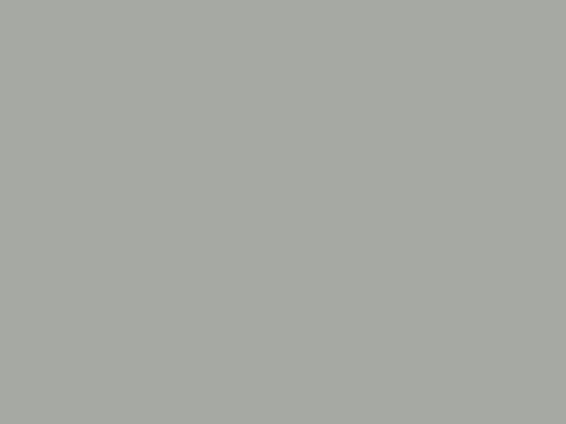 #A6A9A3 color image