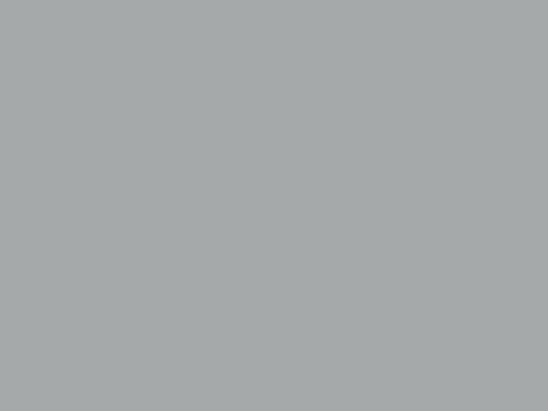 #A6A9AA color image