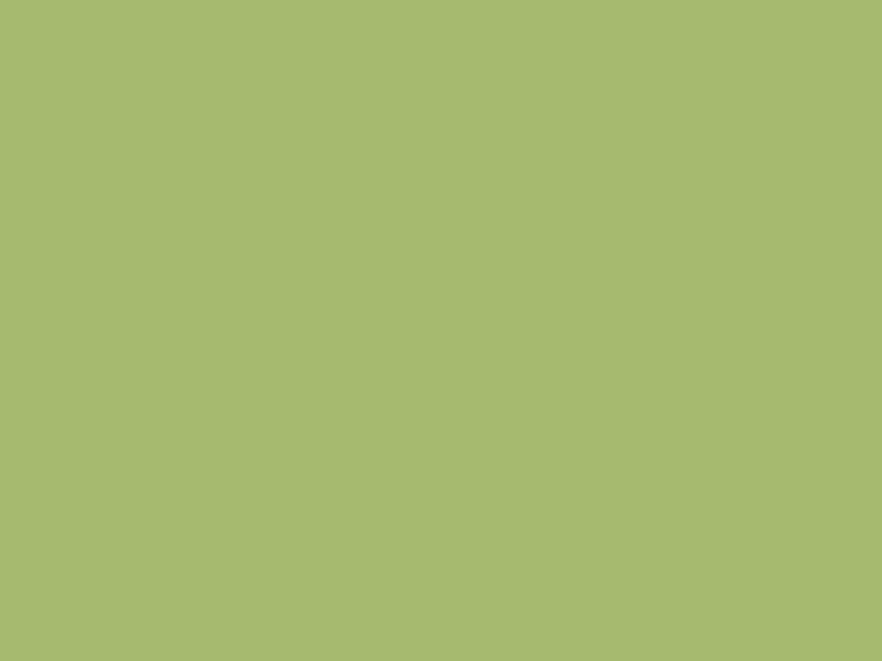 #A6BA6F color image