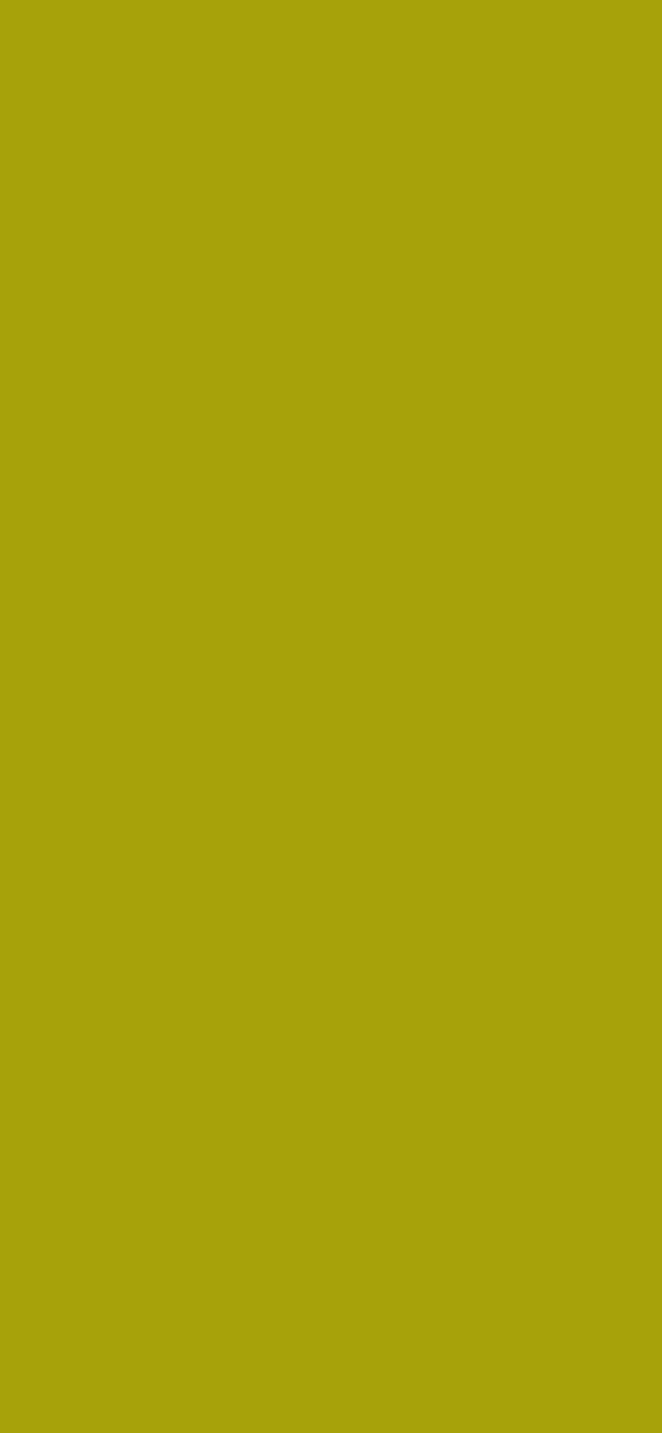 #A7A20A color image