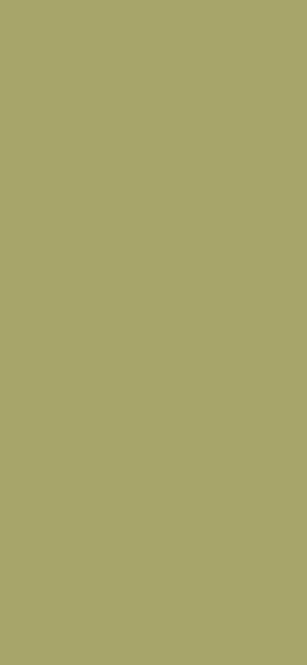 #A7A66A color image