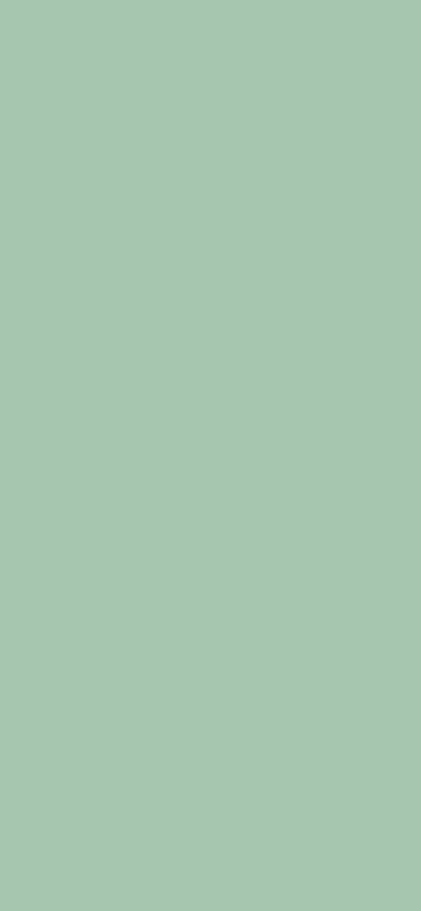 #A7C5B1 color image