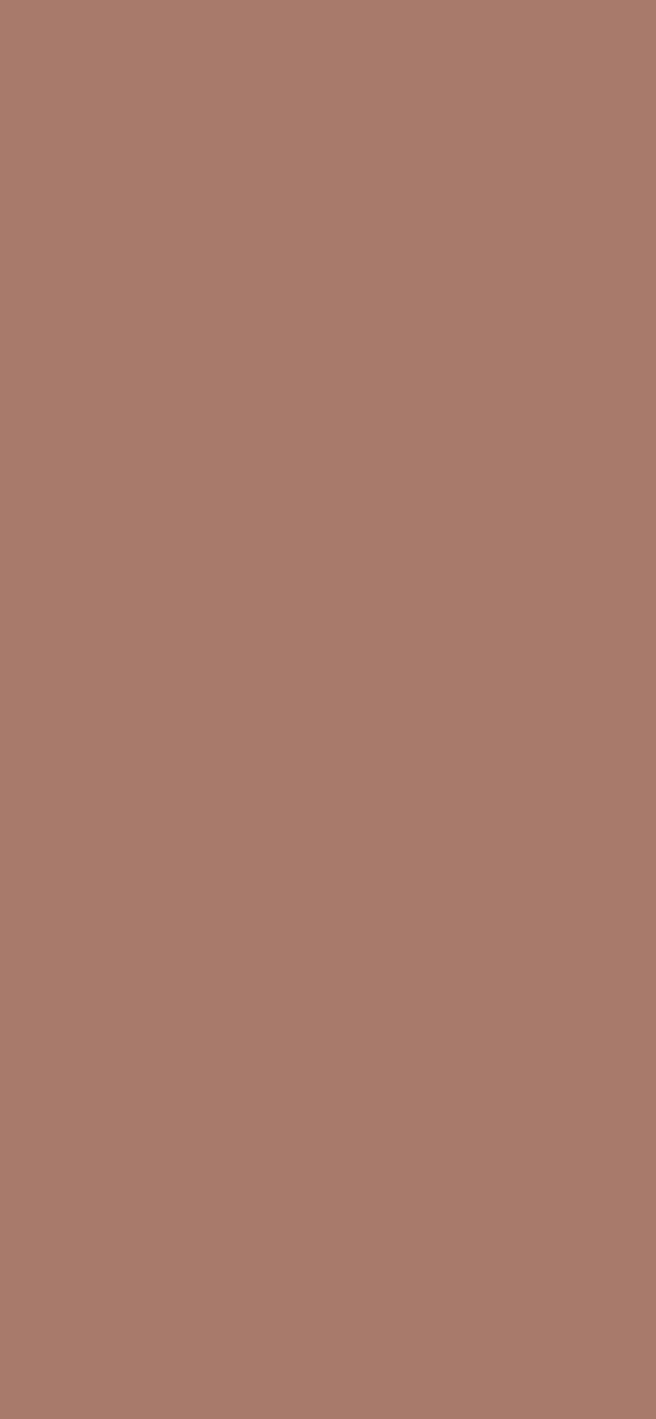 #A87A6B color image