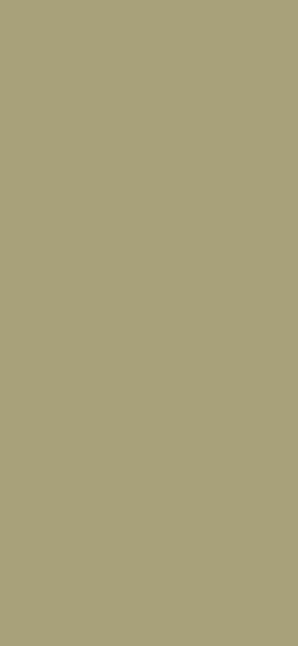 #A8A17A color image