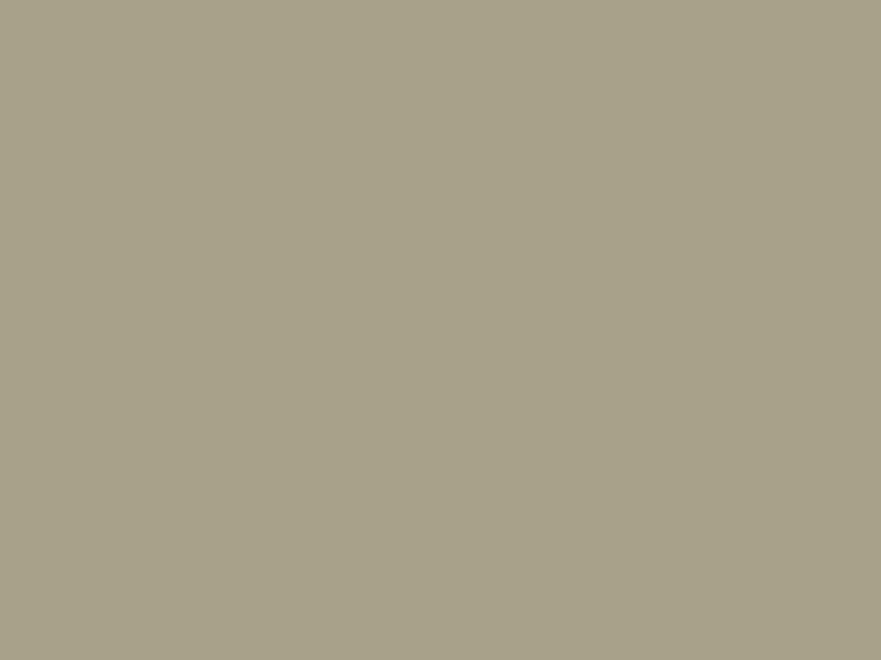 #A8A18A color image