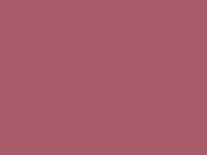 #A95B6A color image