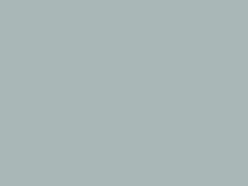 #A9B7B6 color image