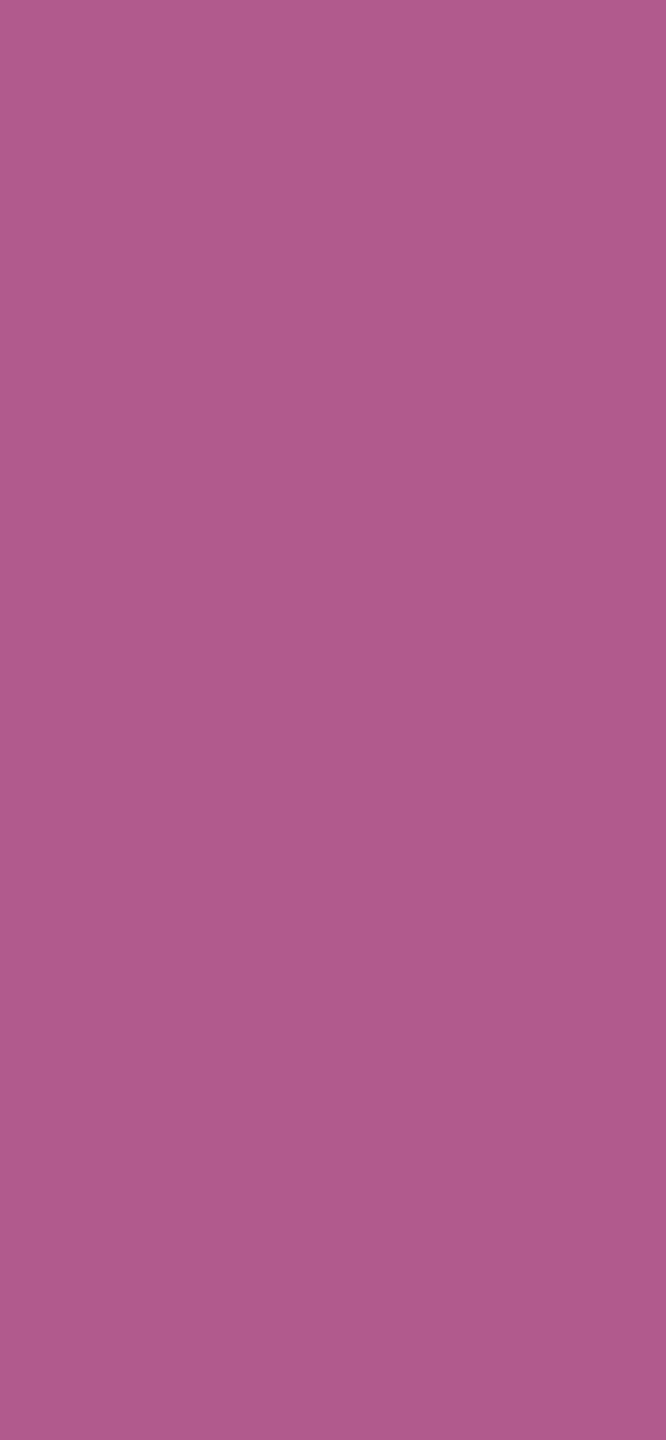 #B15A8D color image