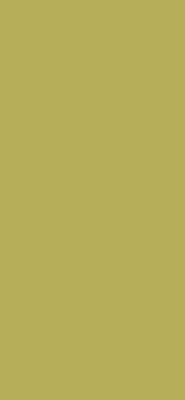 #B7AE5A color image