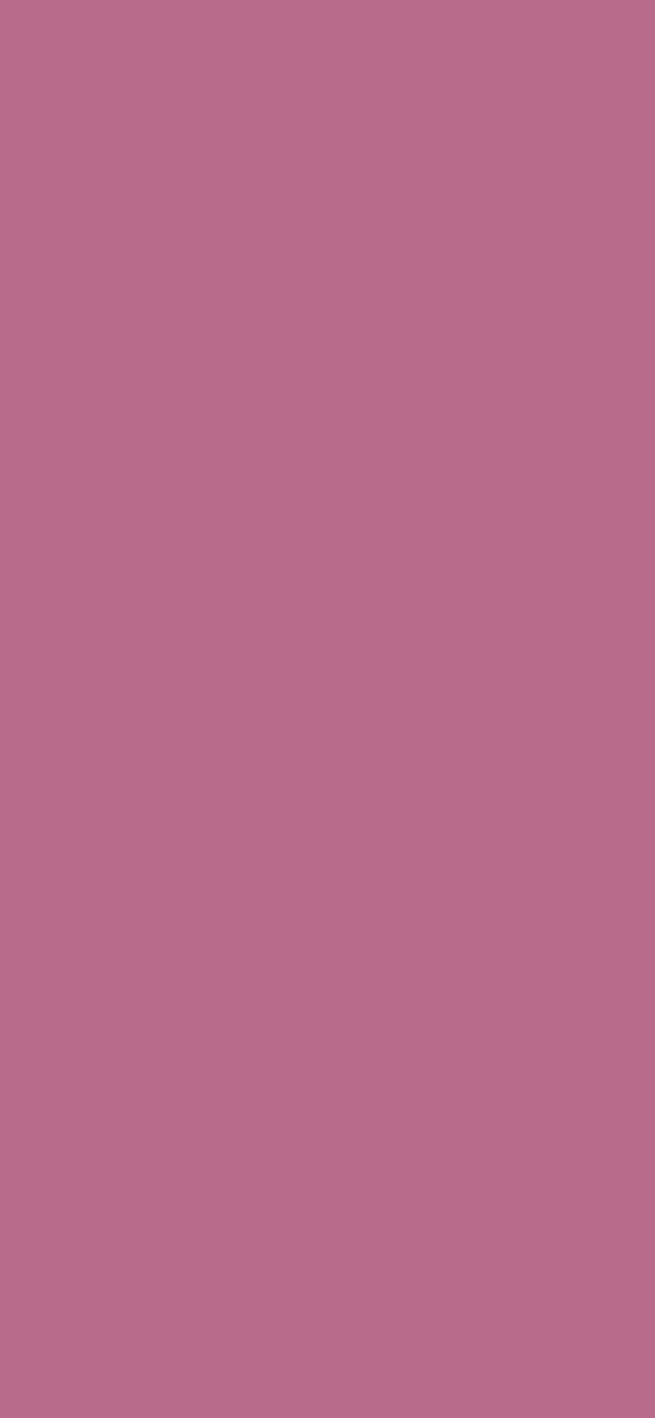 #B86B8A color image