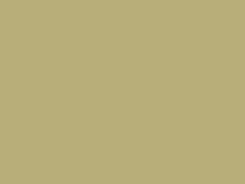 #B8AE7A color image