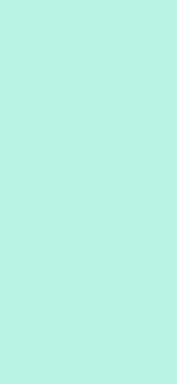 #B9F3E3 color image