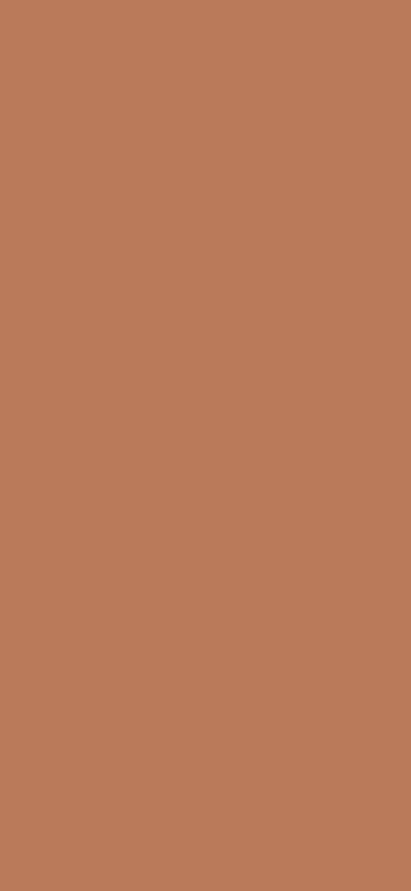 #BA7A5A color image