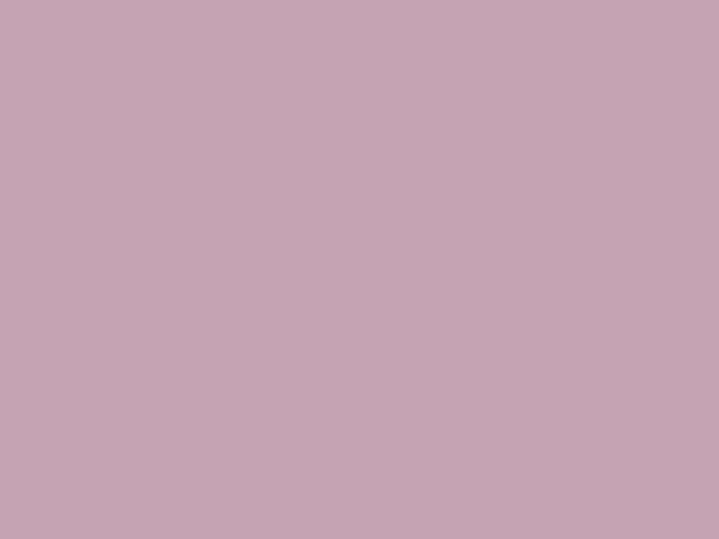 #C6A3B3 color image