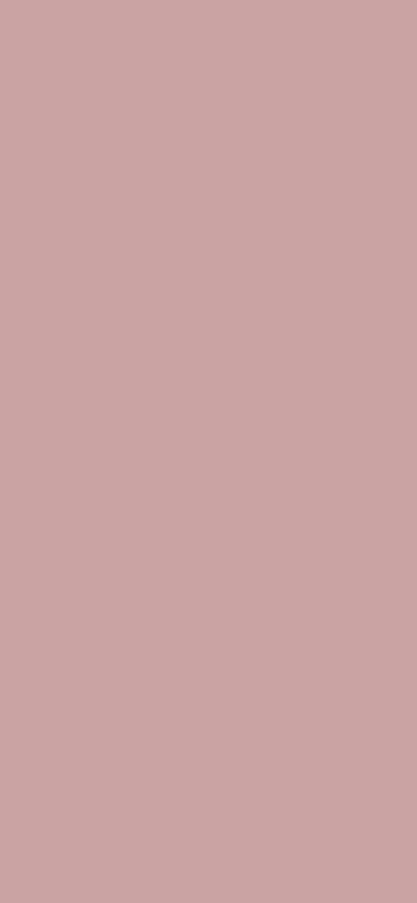 #CAA3A3 color image