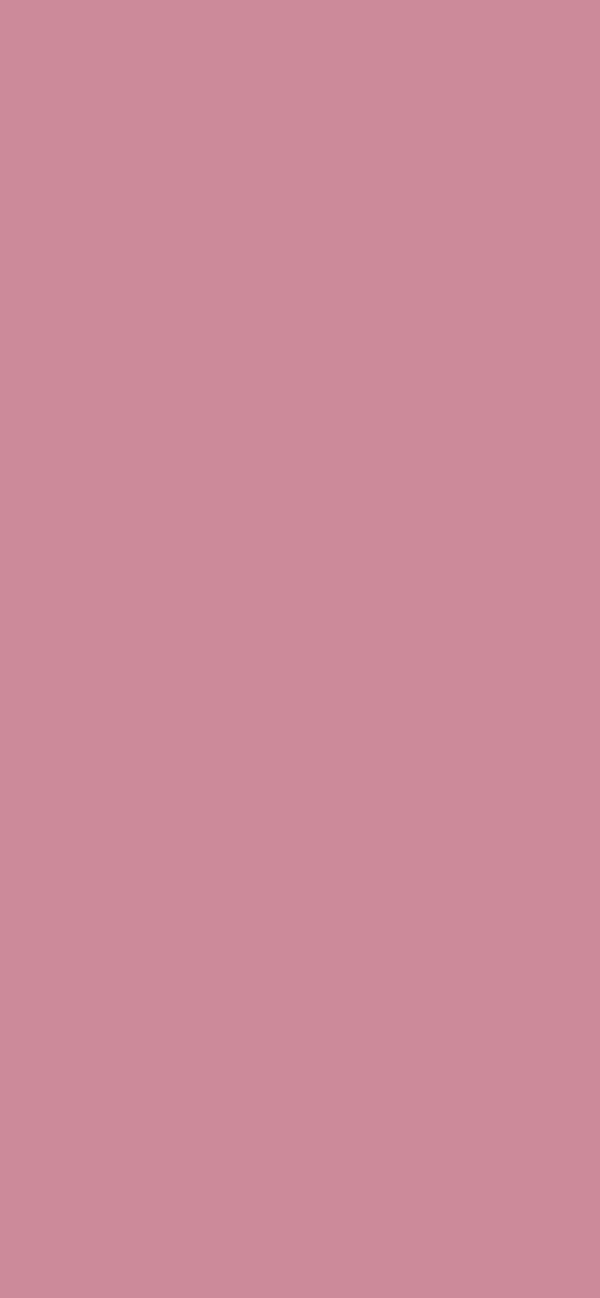 #CC8A9A color image