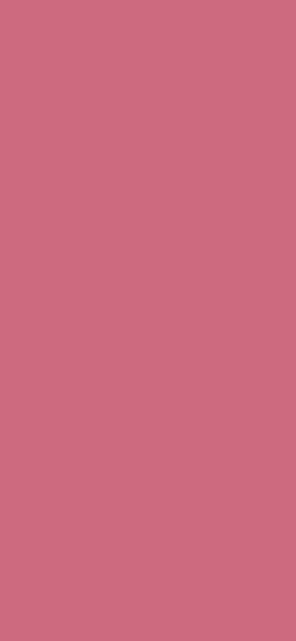 #CD6A7F color image