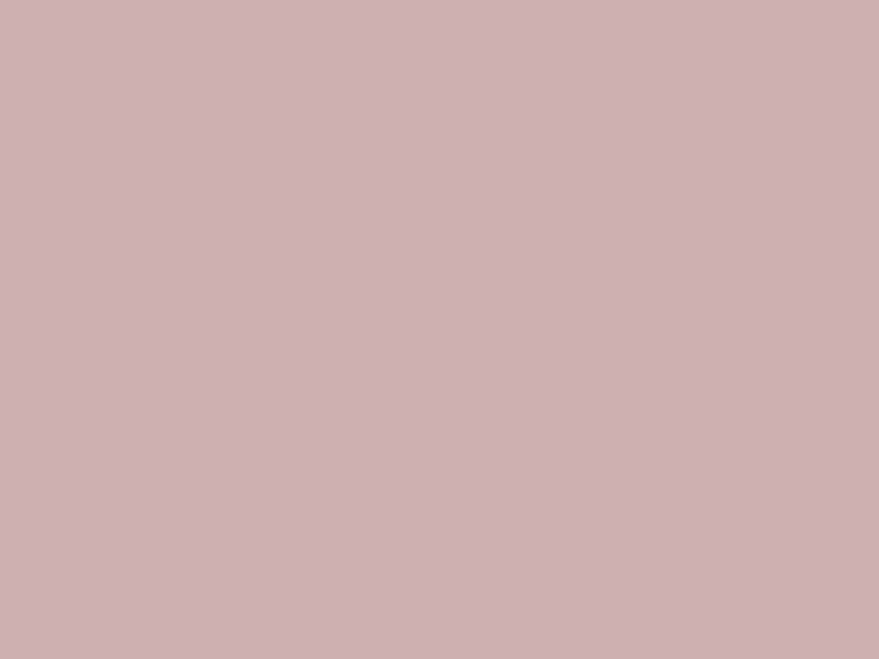 #CFB0B1 color image