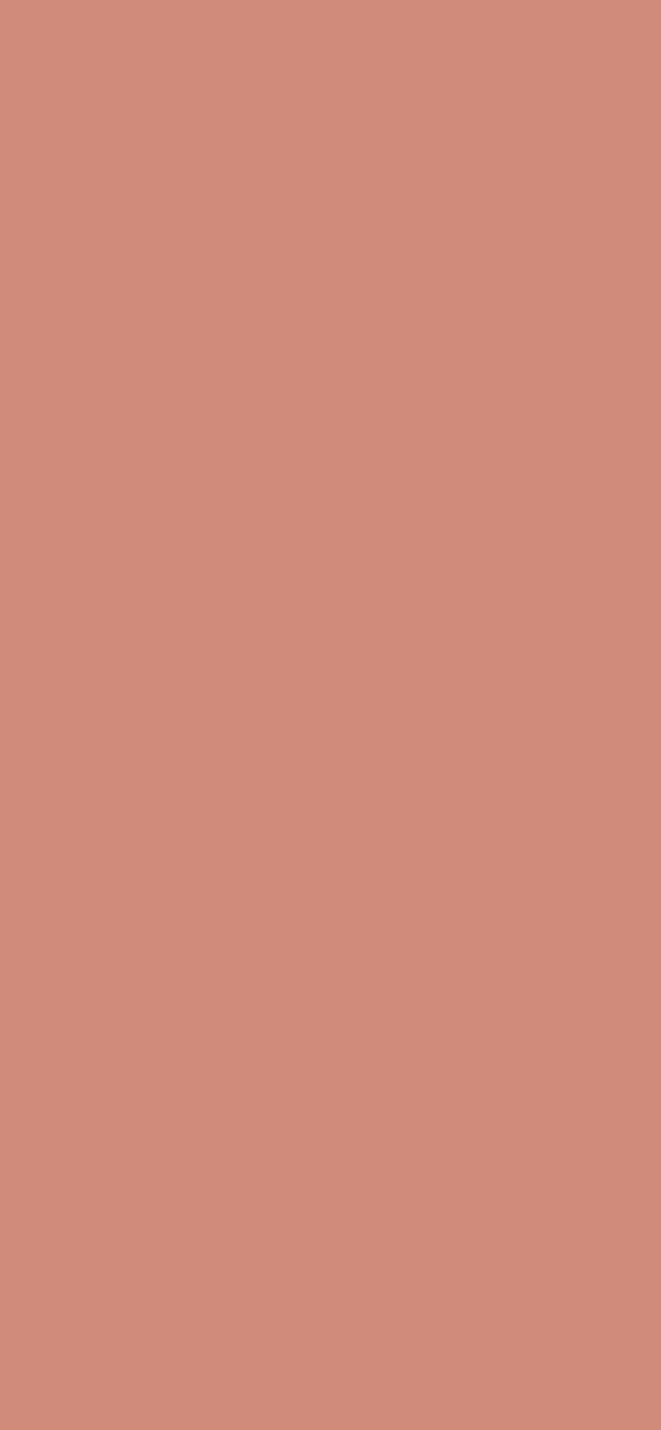 #D18A7A color image