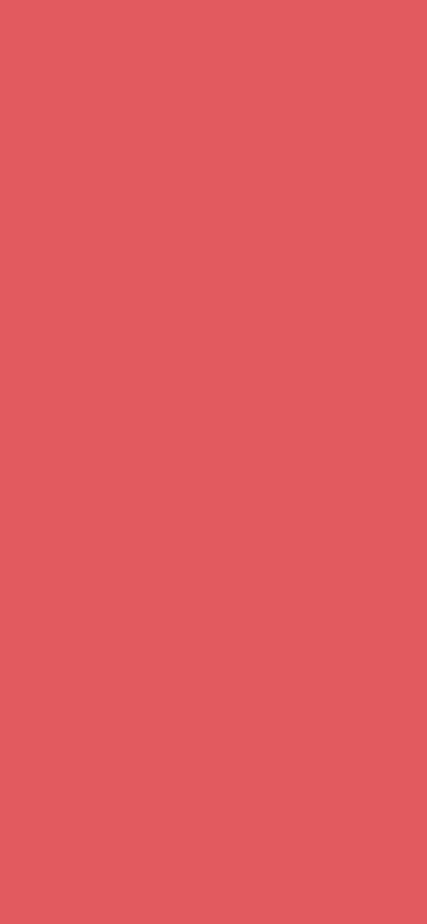 #E25A5F color image