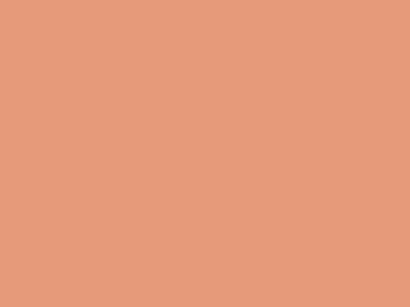 #E69A7A color image