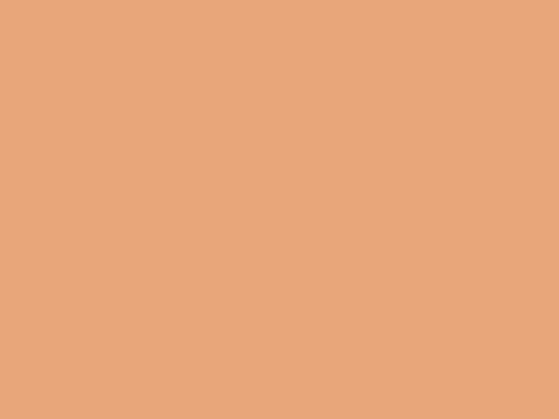 #E8A67A color image