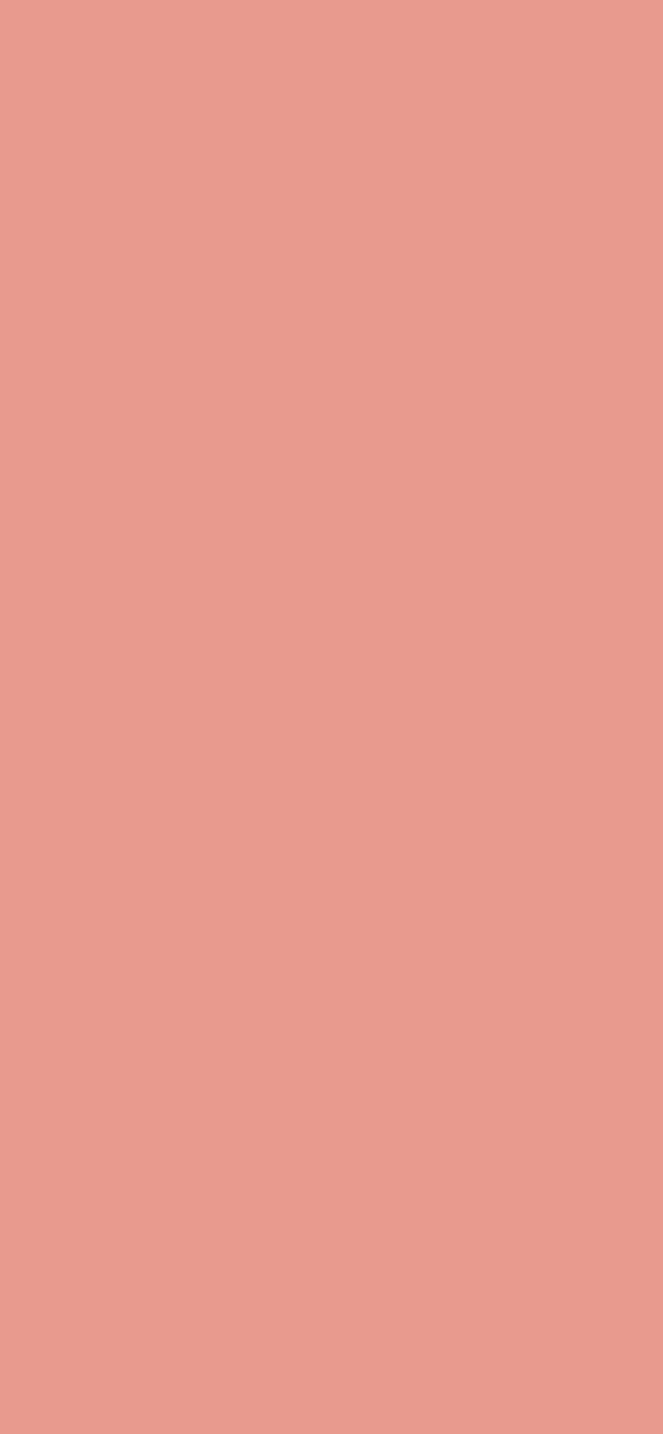 #E99A8F color image