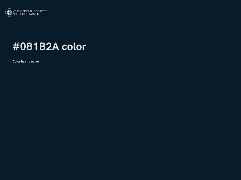 #081B2A color image