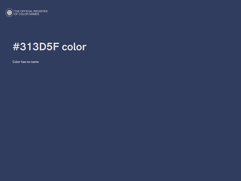 #313D5F color image