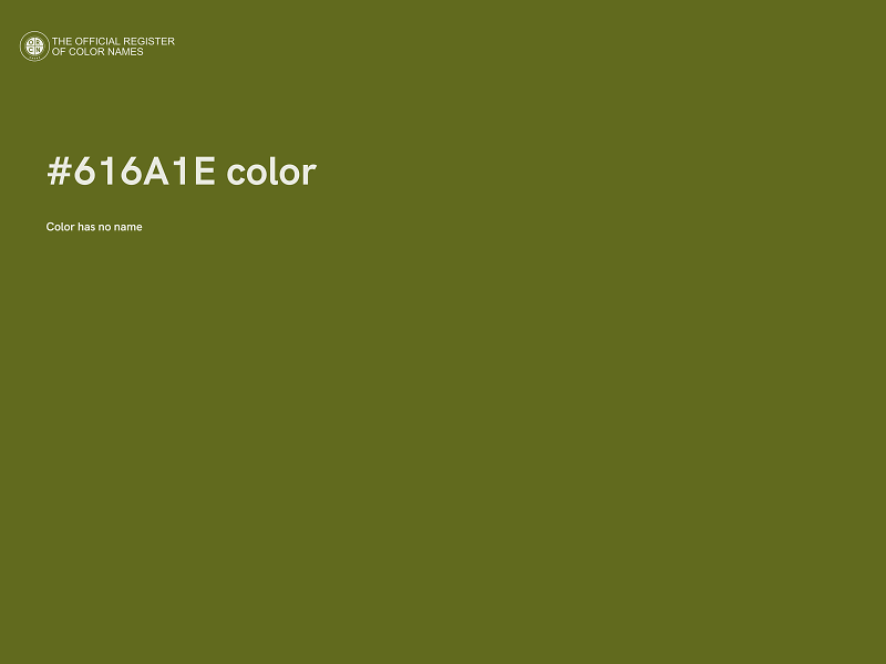 #616A1E color image