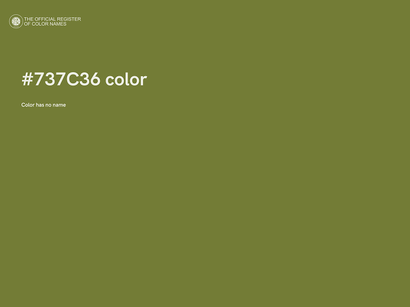 #737C36 color image