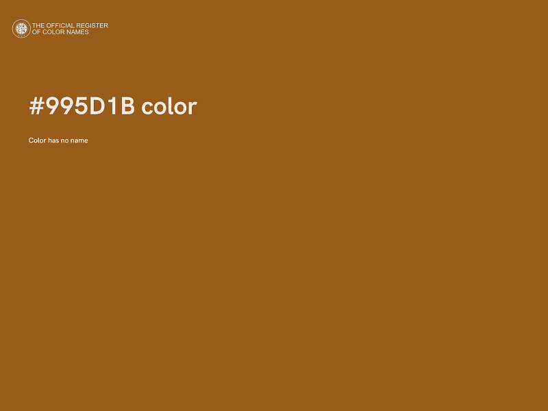 #995D1B color image