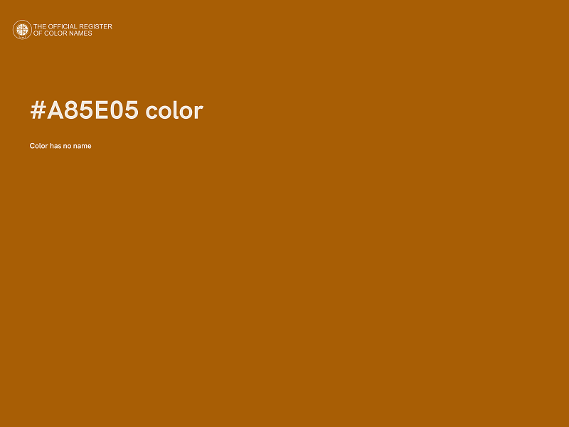 #A85E05 color image