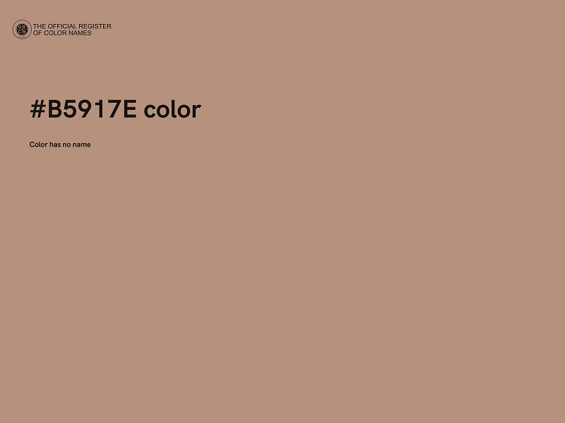 #B5917E color image