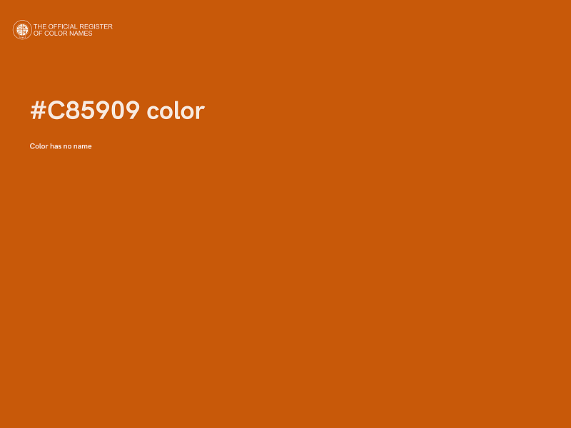 #C85909 color image