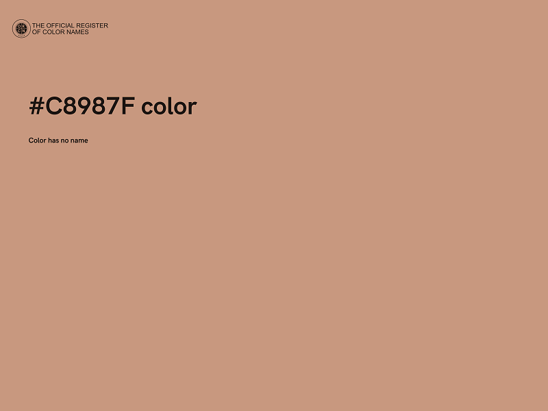 #C8987F color image