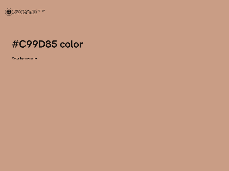 #C99D85 color image