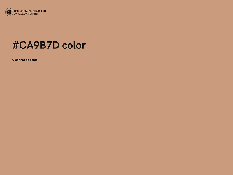 #CA9B7D color image