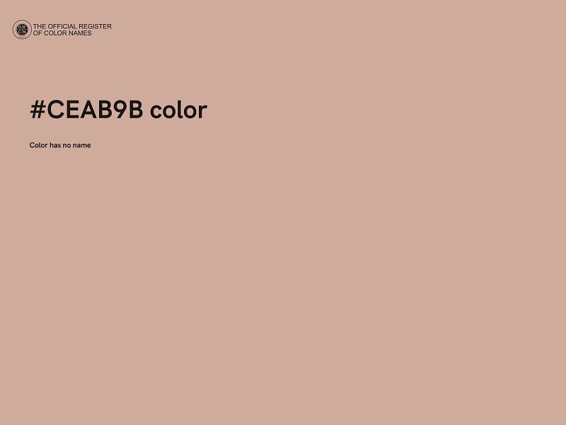 #CEAB9B color image