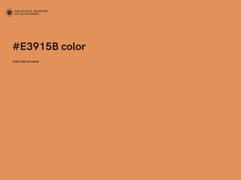 #E3915B color image