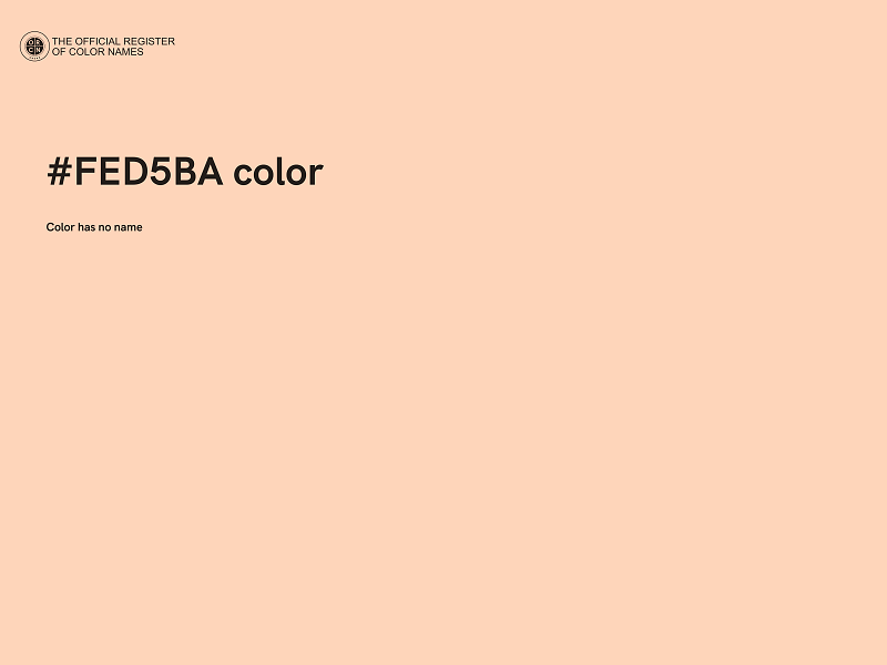 #FED5BA color image